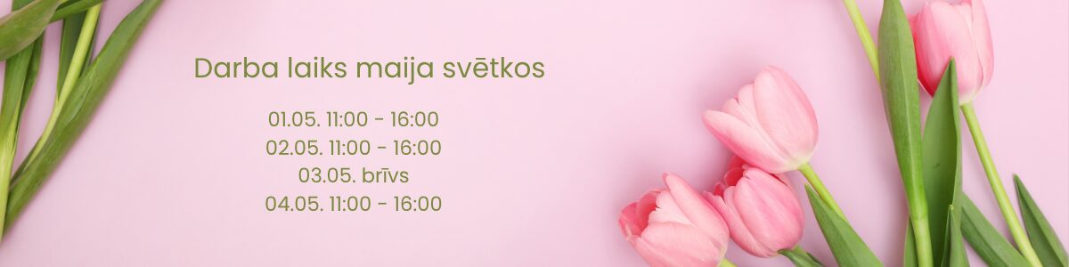darba_laiks__6_.jpg